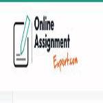 onlineassignment expert
